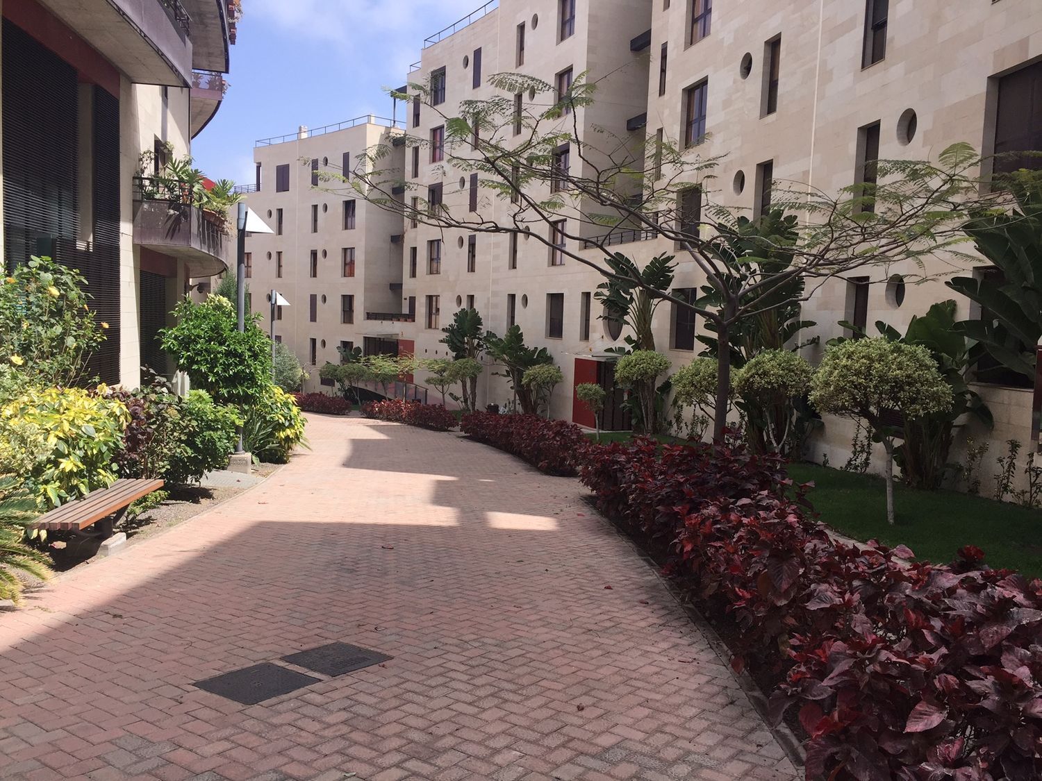 Pisos-Alquiler-Las Palmas de Gran Canaria-467859-Foto-27