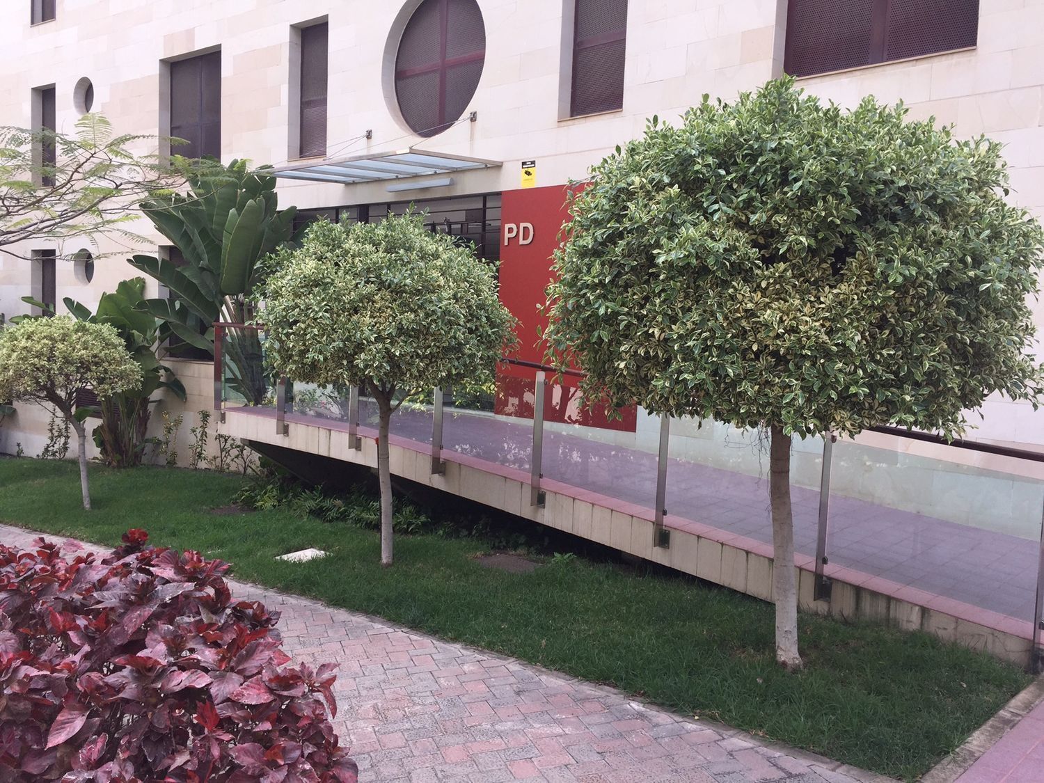 Pisos-Alquiler-Las Palmas de Gran Canaria-467859-Foto-26