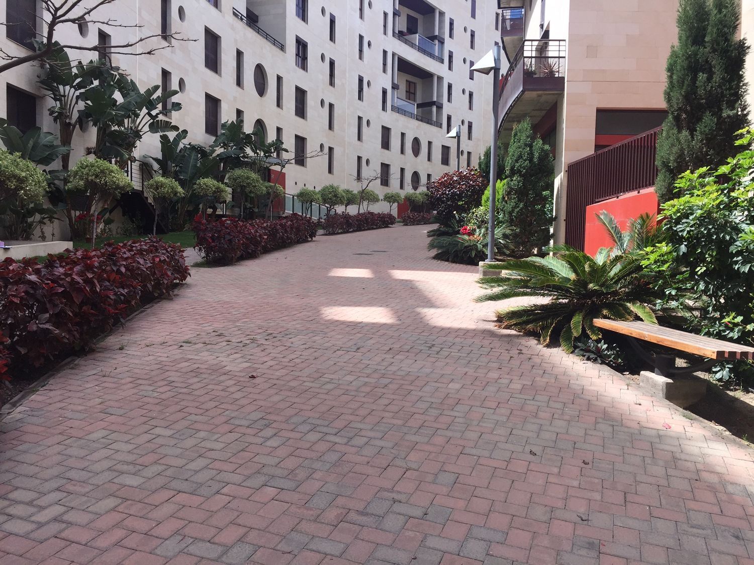 Pisos-Alquiler-Las Palmas de Gran Canaria-467859-Foto-28