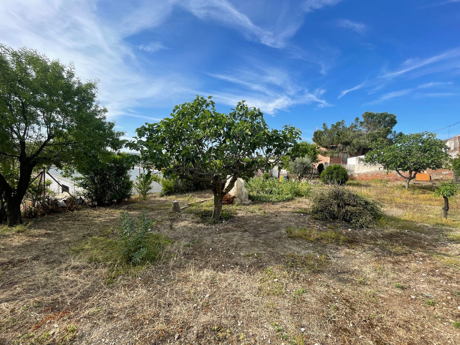 Fincas y solares-Venta-Valdelaguna-706952-Foto-3