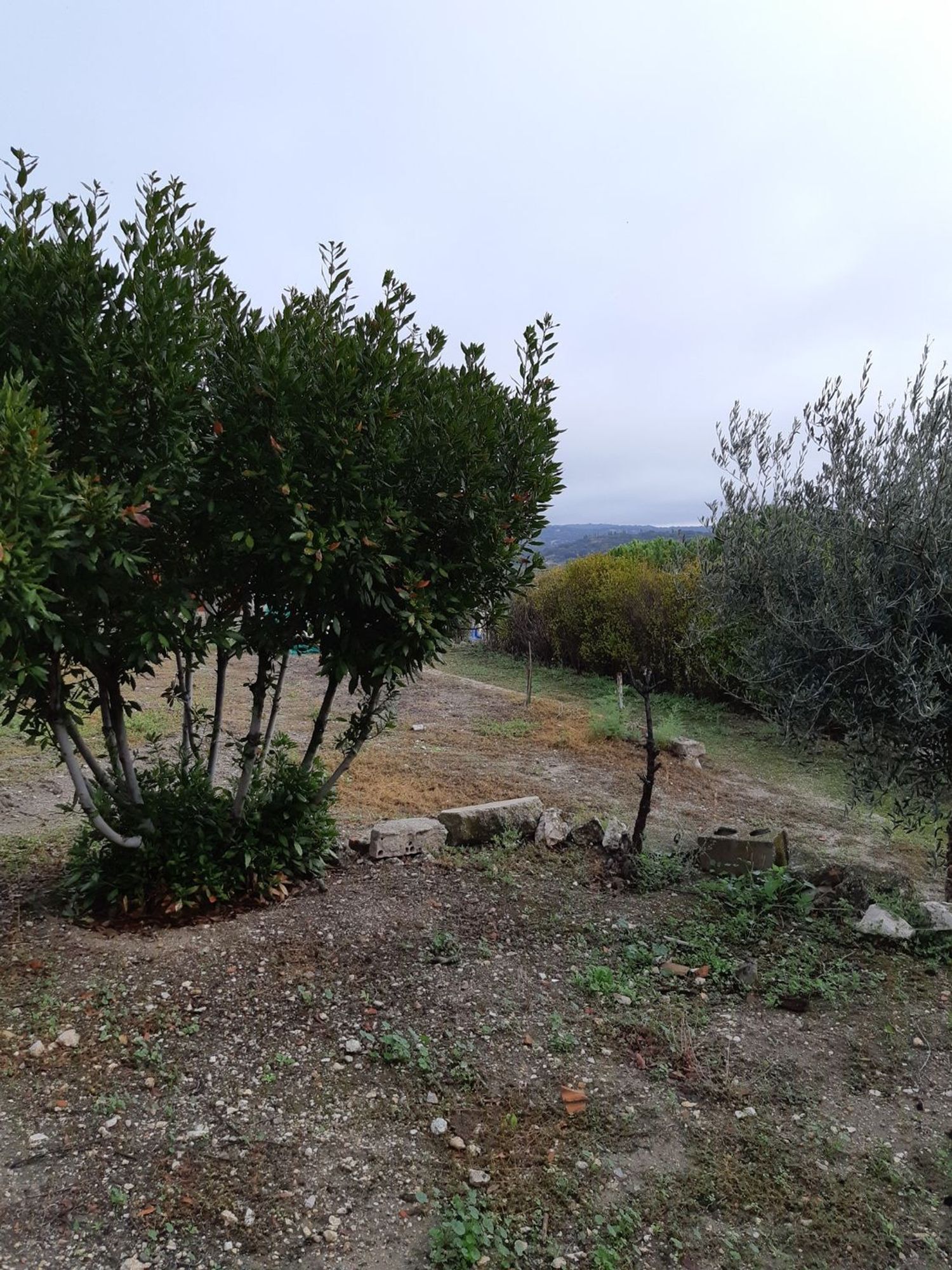 Fincas y solares-Venta-Valdelaguna-706952-Foto-11