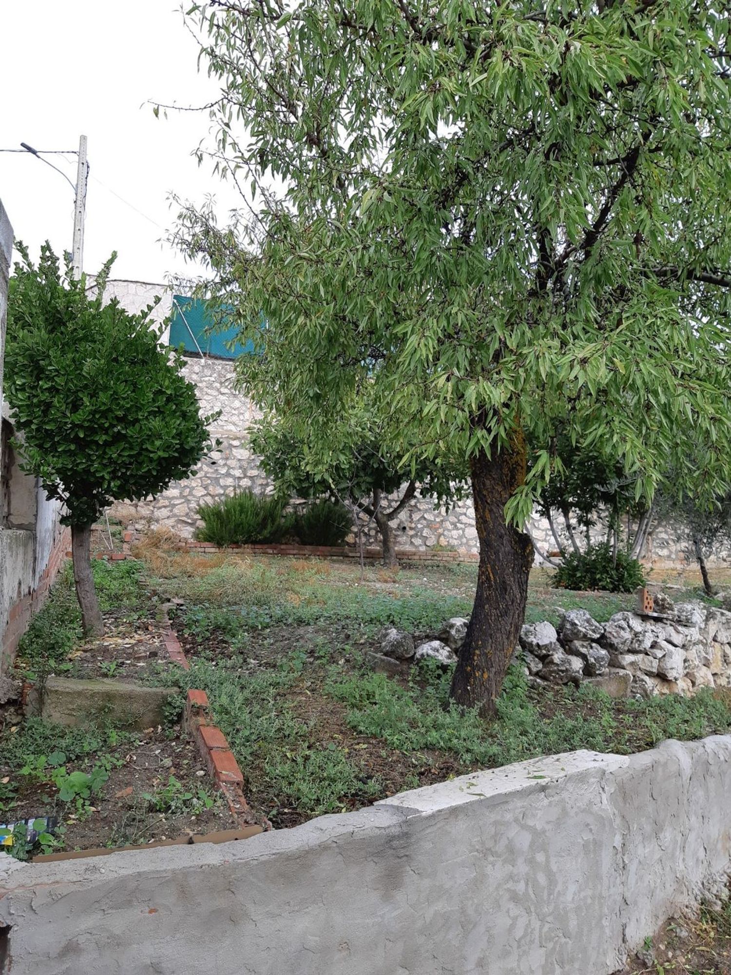 Fincas y solares-Venta-Valdelaguna-706952-Foto-10