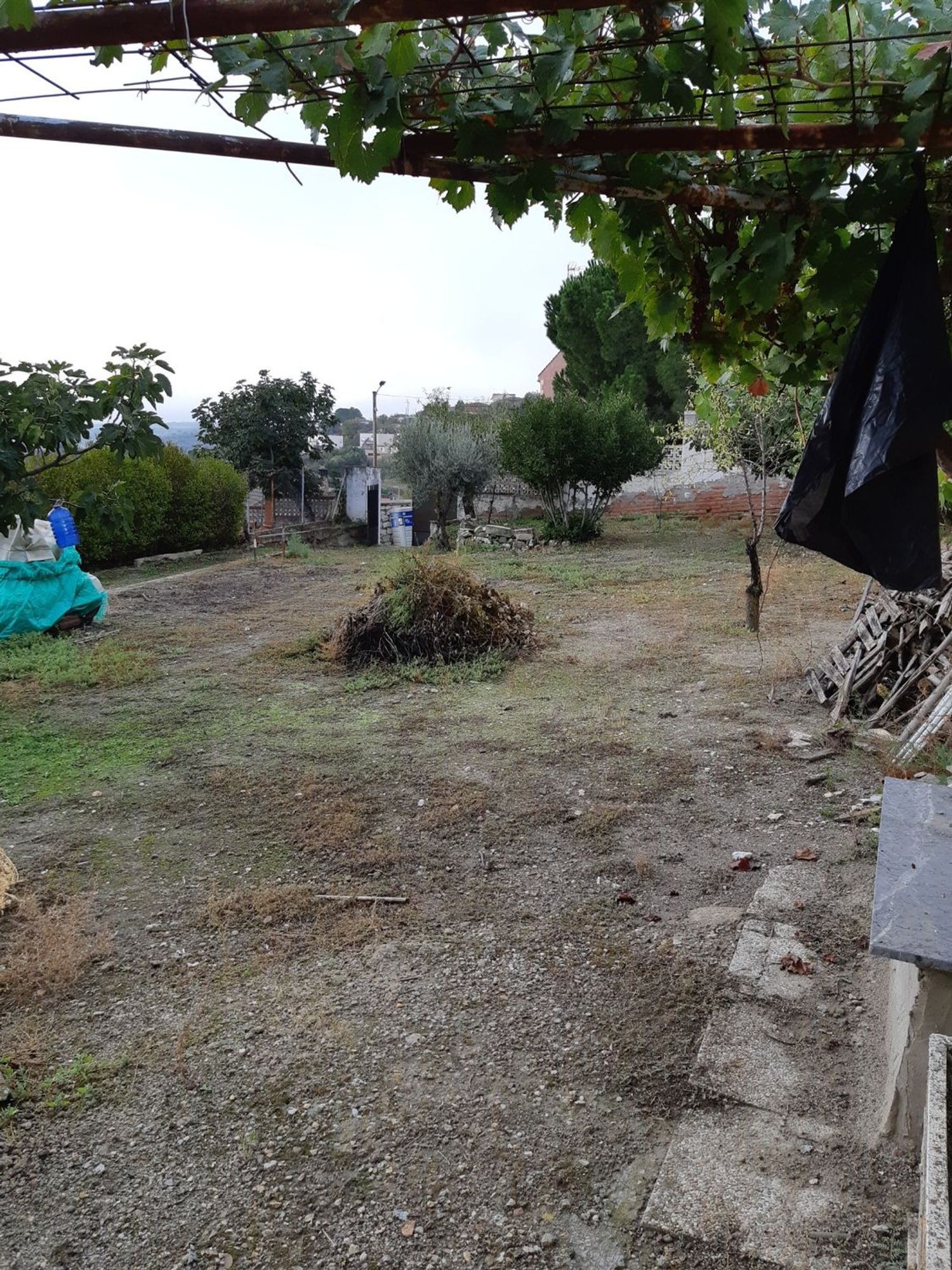 Fincas y solares-Venta-Valdelaguna-706952-Foto-7