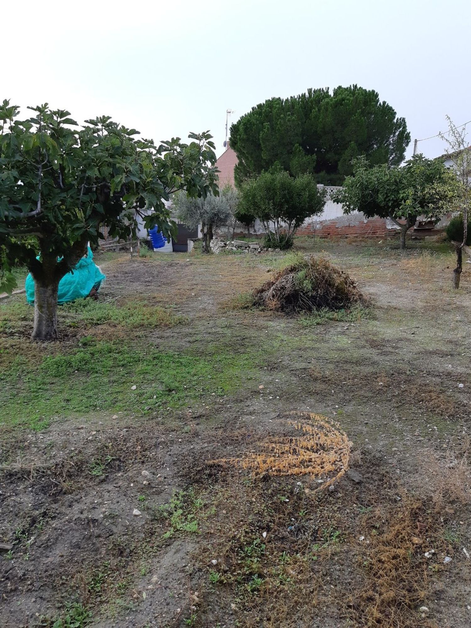 Fincas y solares-Venta-Valdelaguna-706952-Foto-6