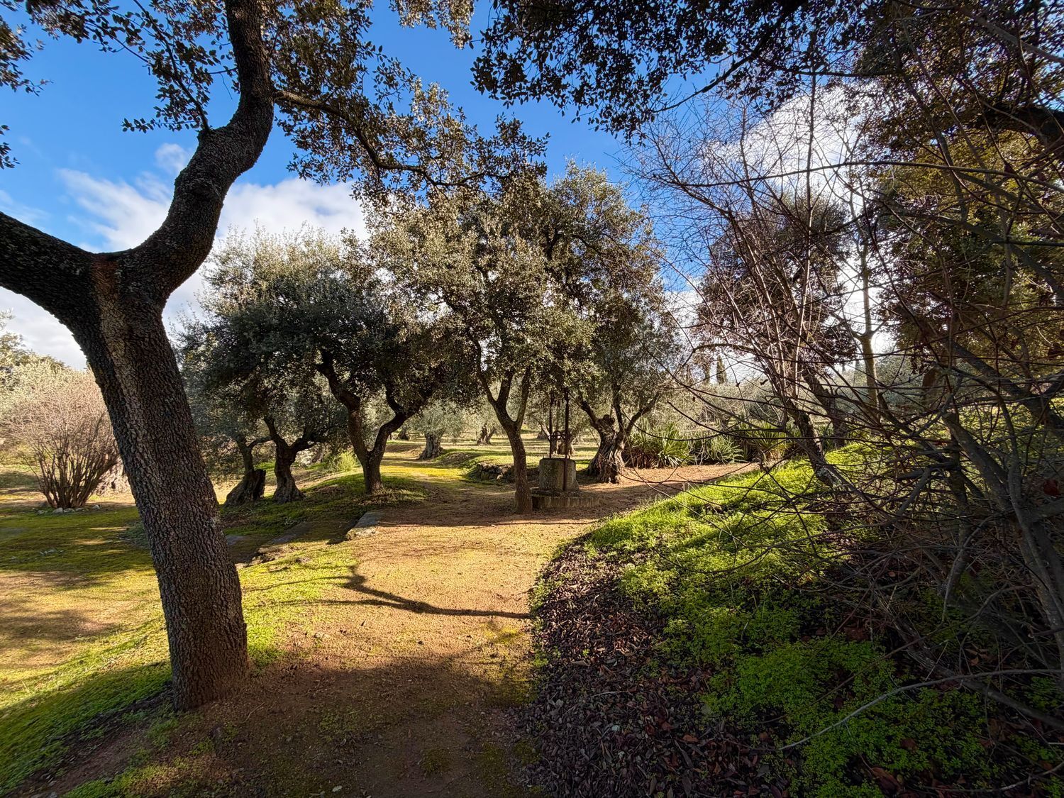 Casas o chalets-Venta-Toledo-1744111-Foto-46