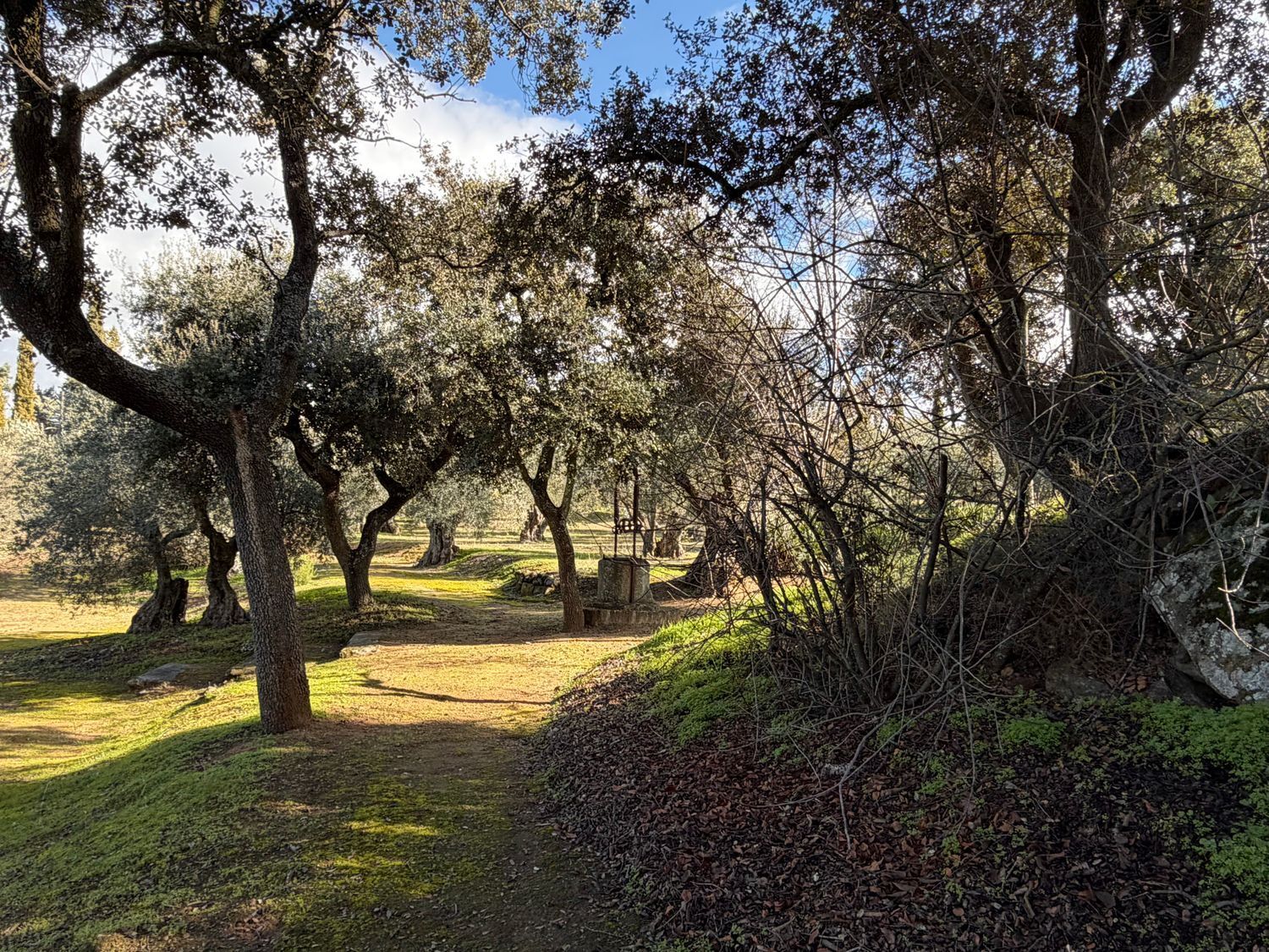 Casas o chalets-Venta-Toledo-1744111-Foto-47