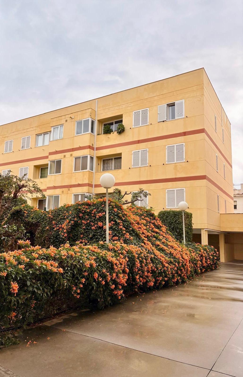 Pisos-Venta-Torre del Mar-2087539-Foto-2