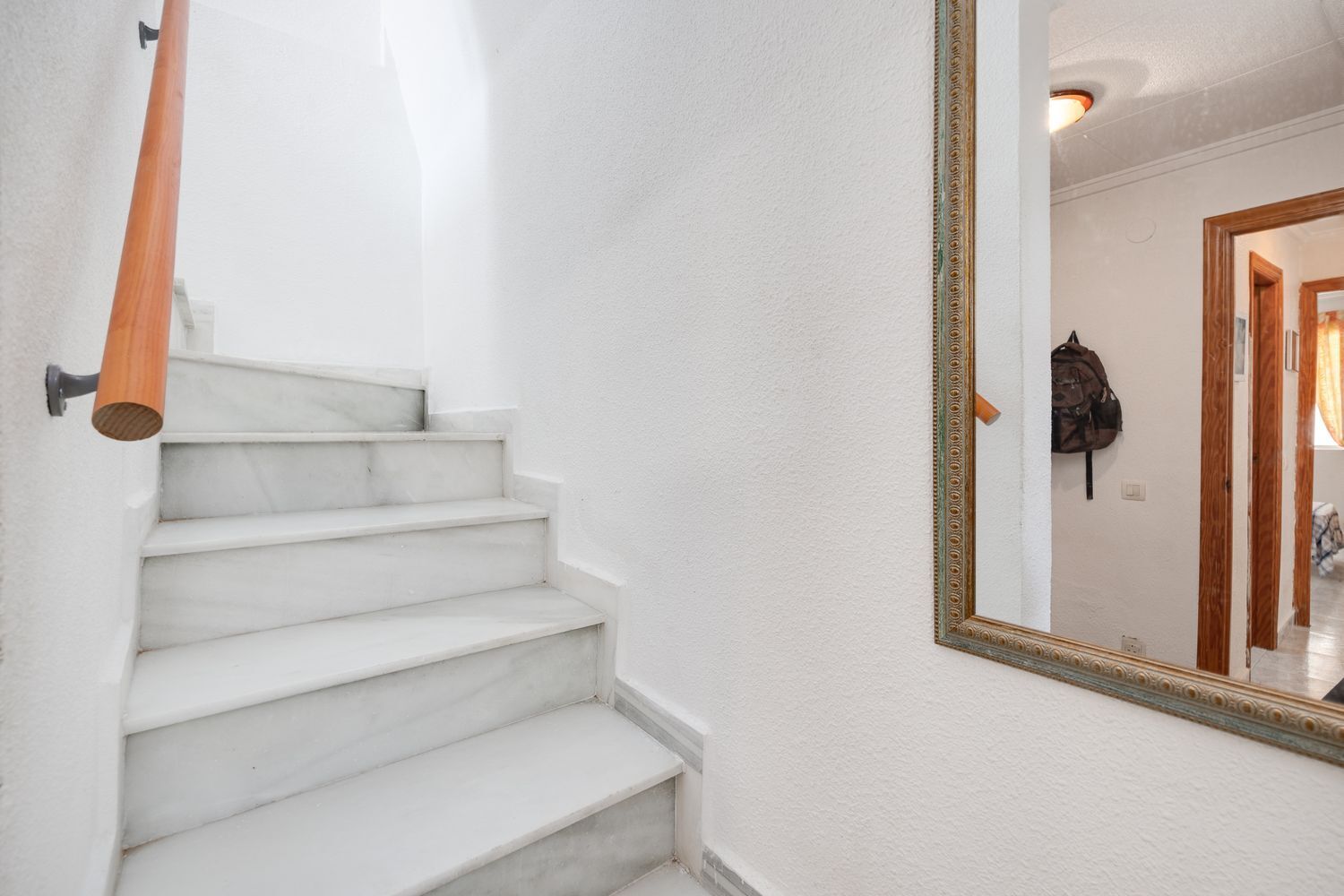 Casas o chalets-Venta-Torrevieja-1835935-Foto-15