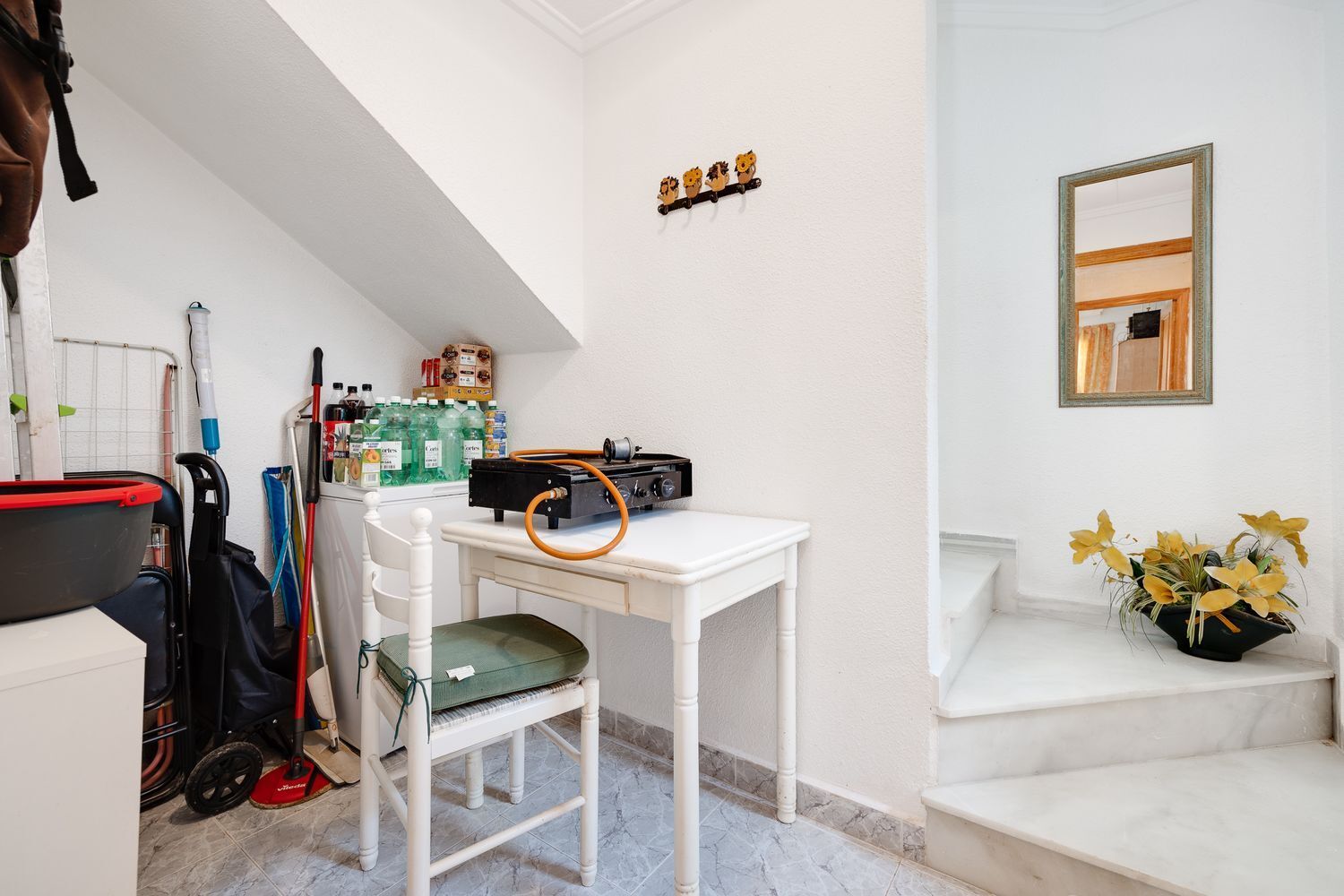 Casas o chalets-Venta-Torrevieja-1835935-Foto-31