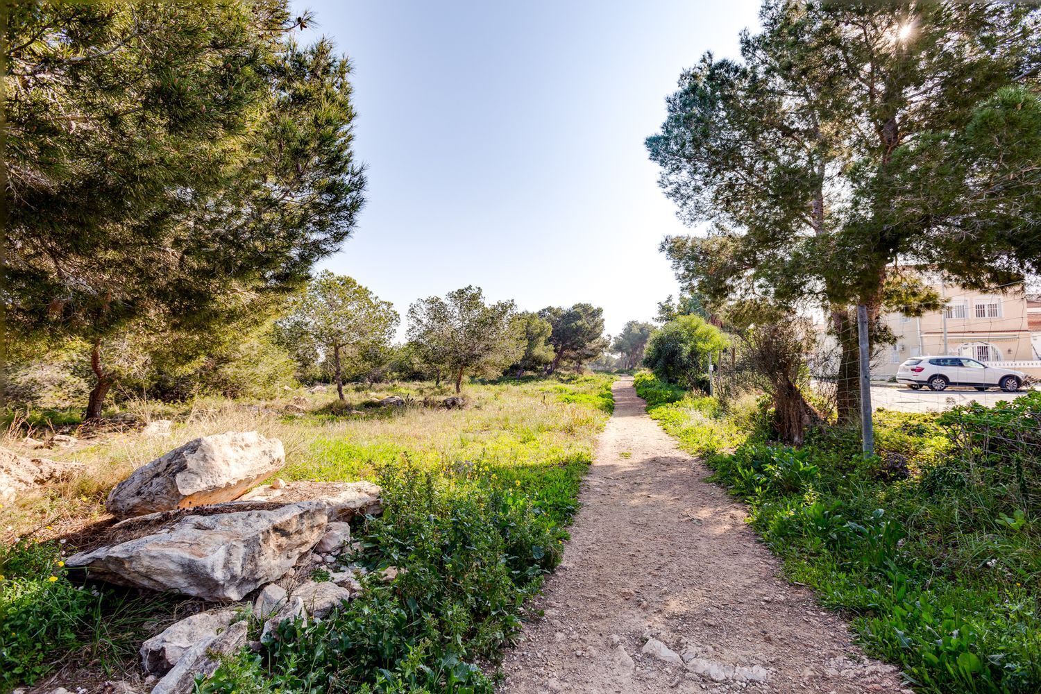 Casas o chalets-Venta-Torrevieja-1835935-Foto-51