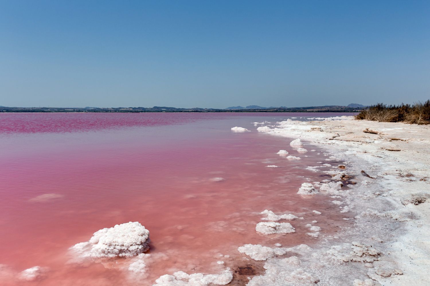 Casas o chalets-Venta-Torrevieja-1835935-Foto-55