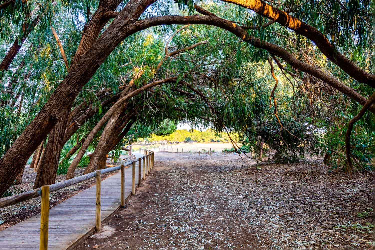 Casas o chalets-Venta-Torrevieja-1835935-Foto-62