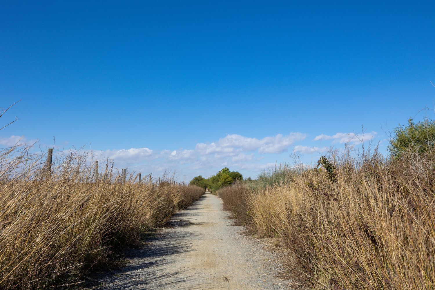 Casas o chalets-Venta-Torrevieja-1835935-Foto-68