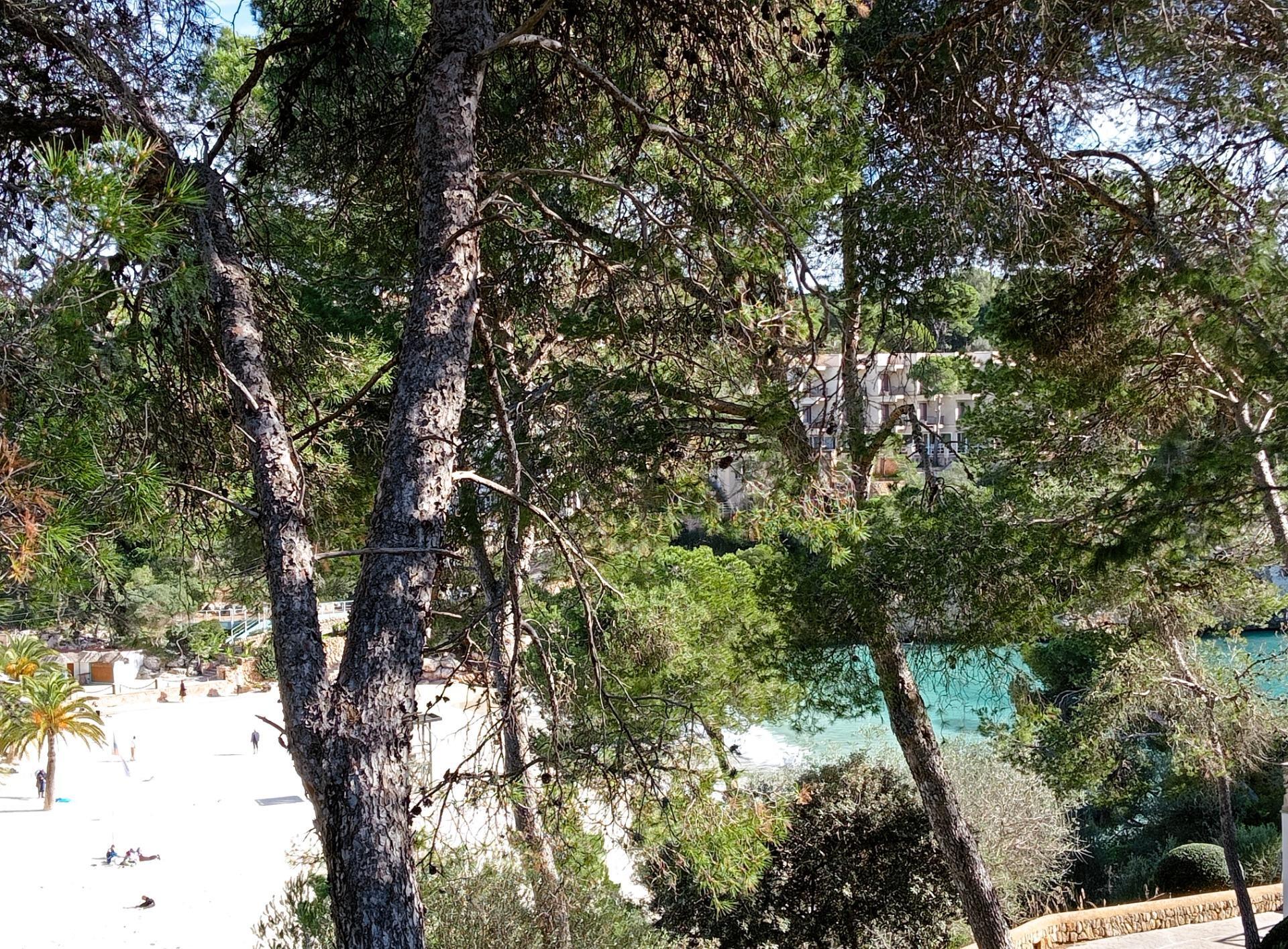 Pisos-Venta-SantanyÃ­-2088171-Foto-18