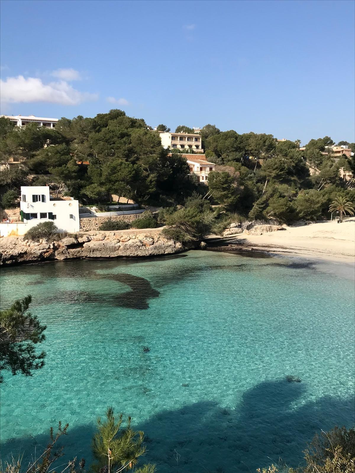 Pisos-Venta-SantanyÃ­-2088171-Foto-23