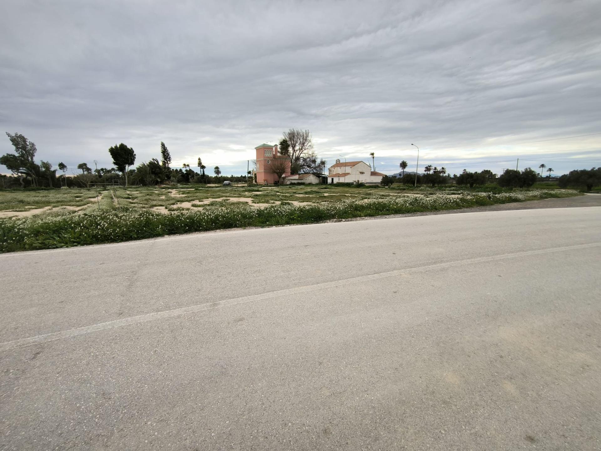 Fincas y solares-Venta-Elche-2089309-Foto-5