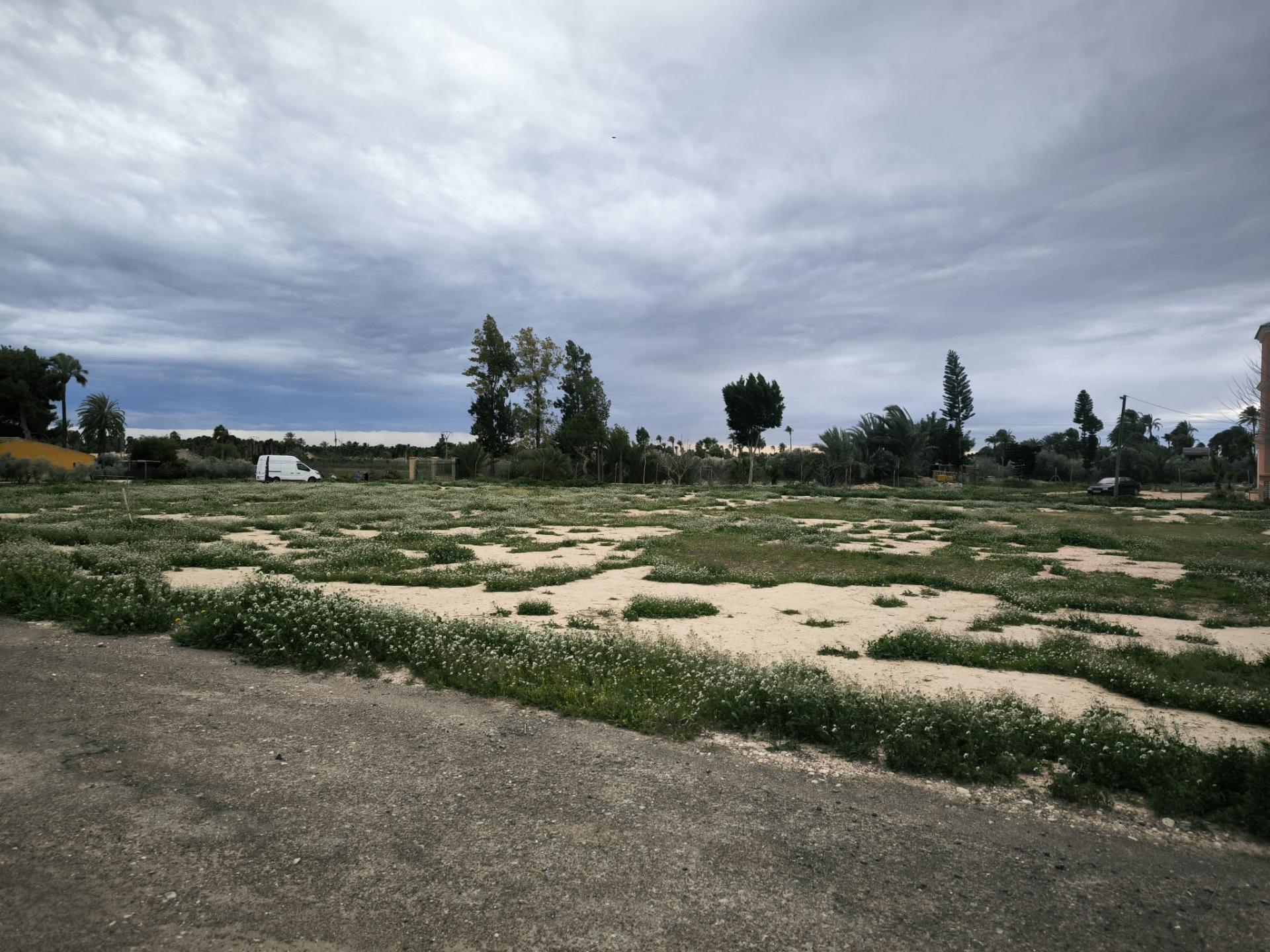 Fincas y solares-Venta-Elche-2089309-Foto-6