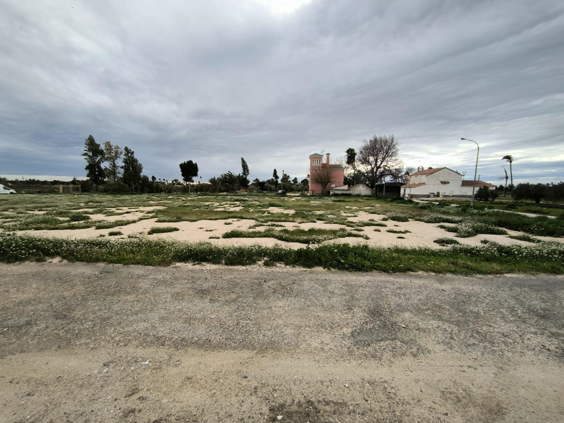 Fincas y solares-Venta-Elche-2089309-Foto-8