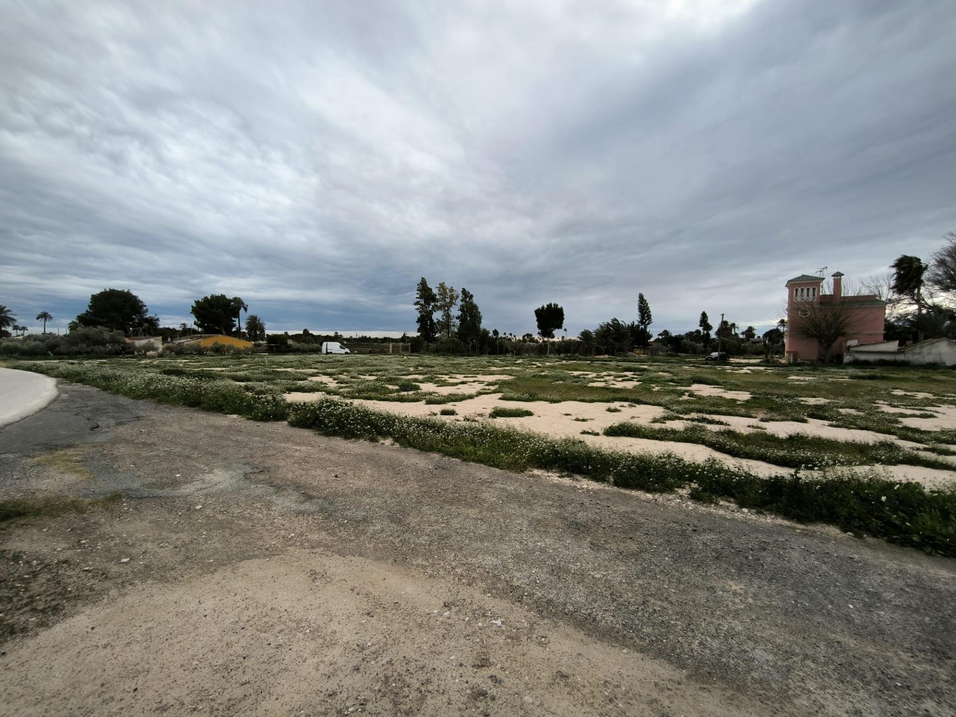 Fincas y solares-Venta-Elche-2089309-Foto-7