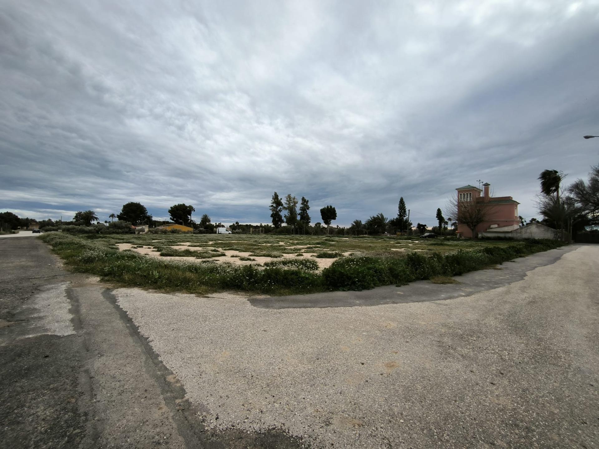 Fincas y solares-Venta-Elche-2089309-Foto-12