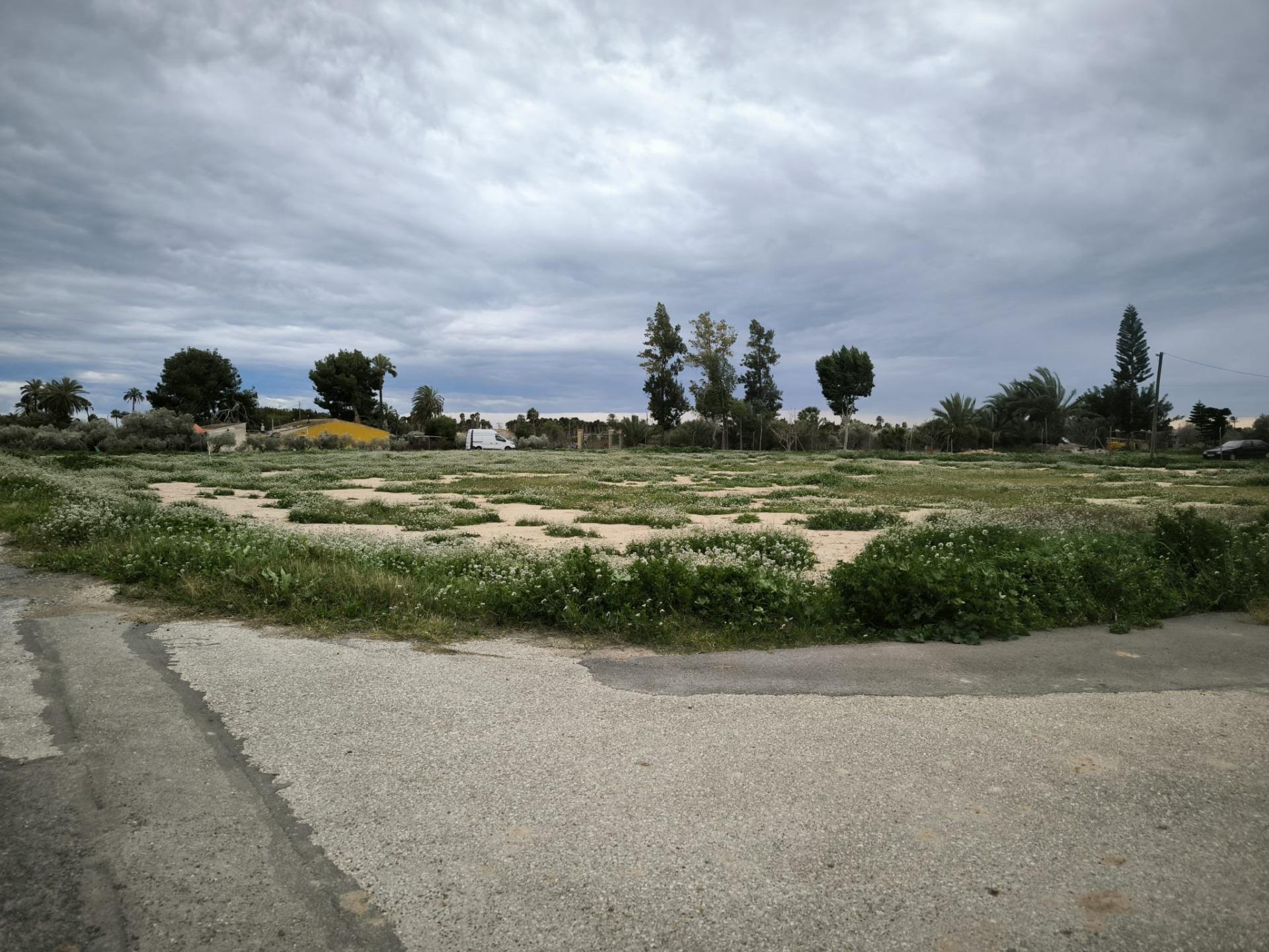 Fincas y solares-Venta-Elche-2089309-Foto-13