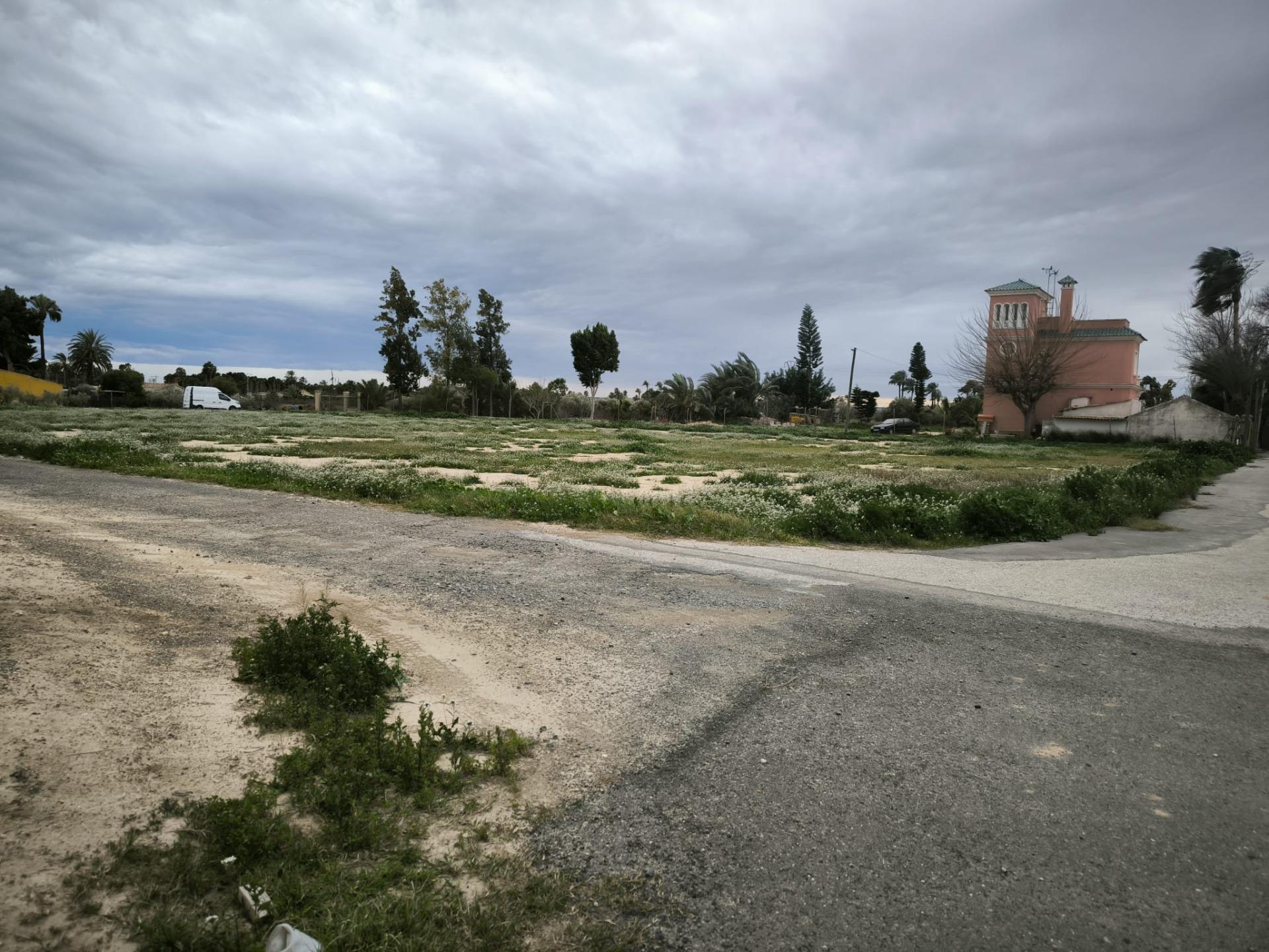 Fincas y solares-Venta-Elche-2089309-Foto-15