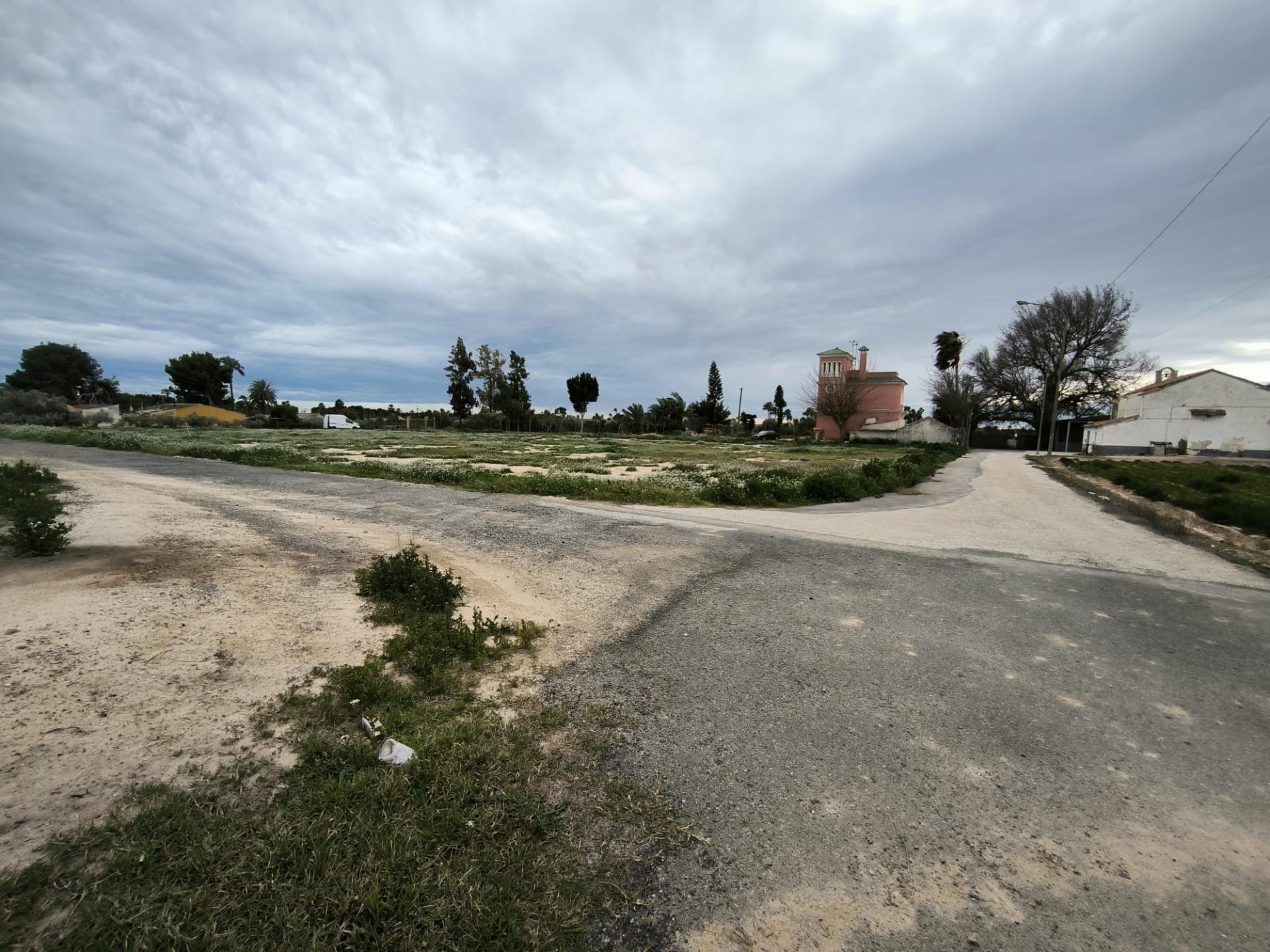 Fincas y solares-Venta-Elche-2089309-Foto-16