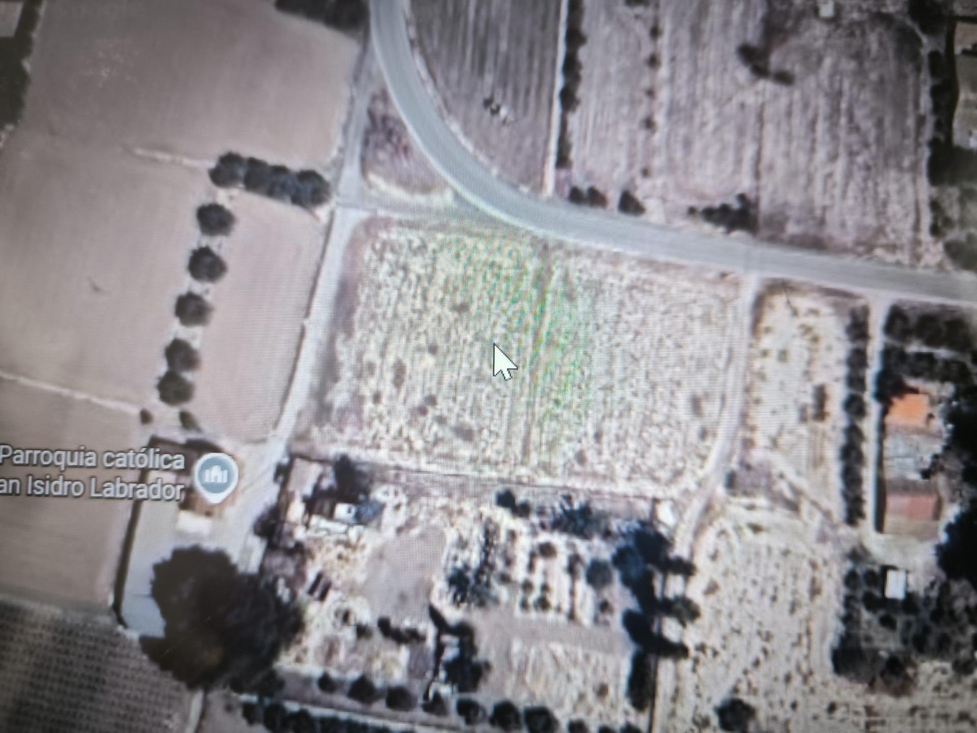 Fincas y solares-Venta-Elche-2089309-Foto-19