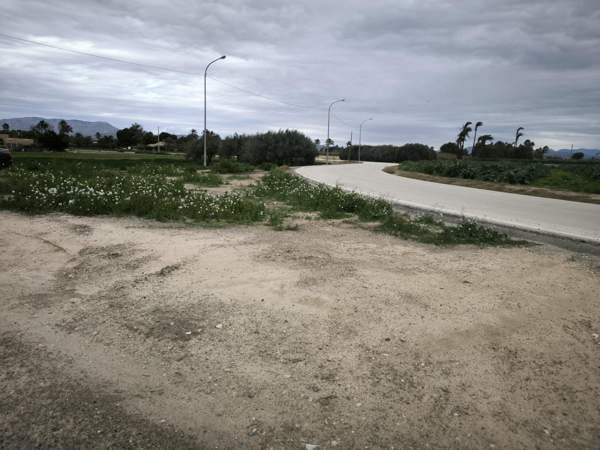 Fincas y solares-Venta-Elche-2089309-Foto-18