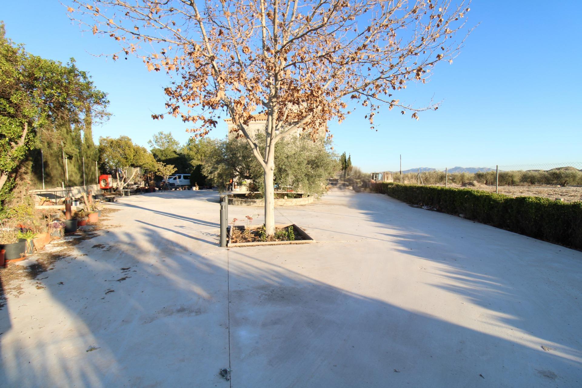 Casas o chalets-Venta-Fortuna-2043492-Foto-7