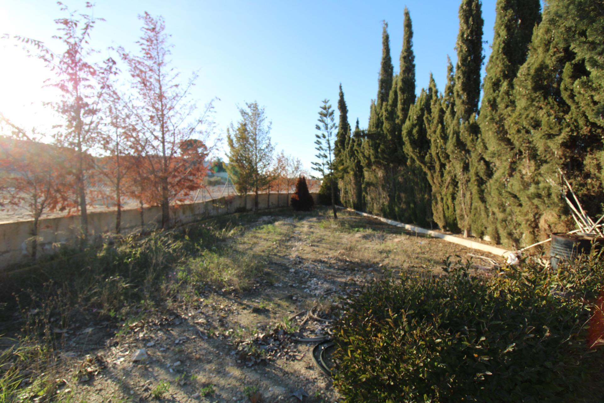 Casas o chalets-Venta-Fortuna-2043492-Foto-6
