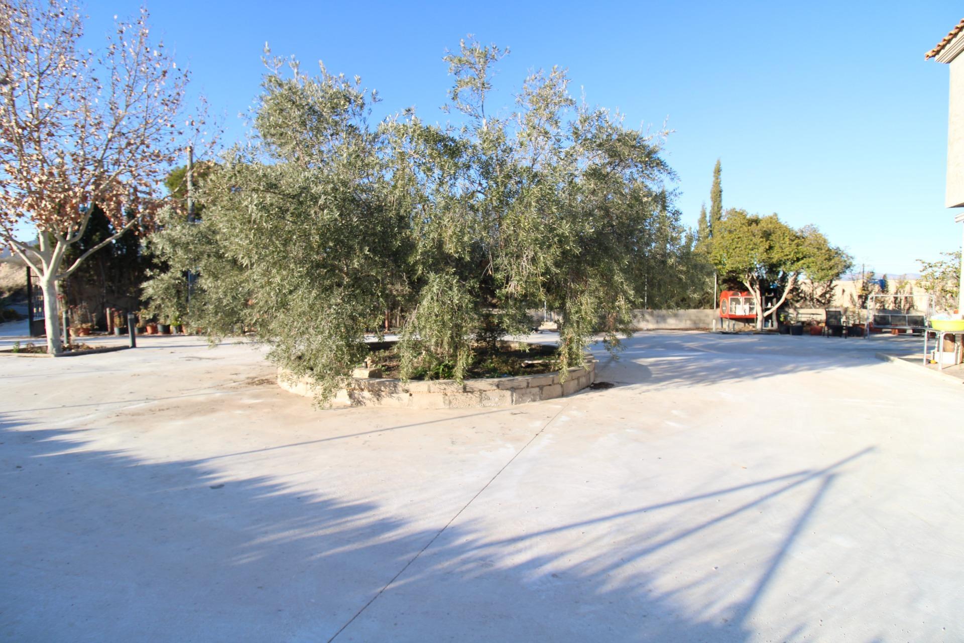 Casas o chalets-Venta-Fortuna-2043492-Foto-10