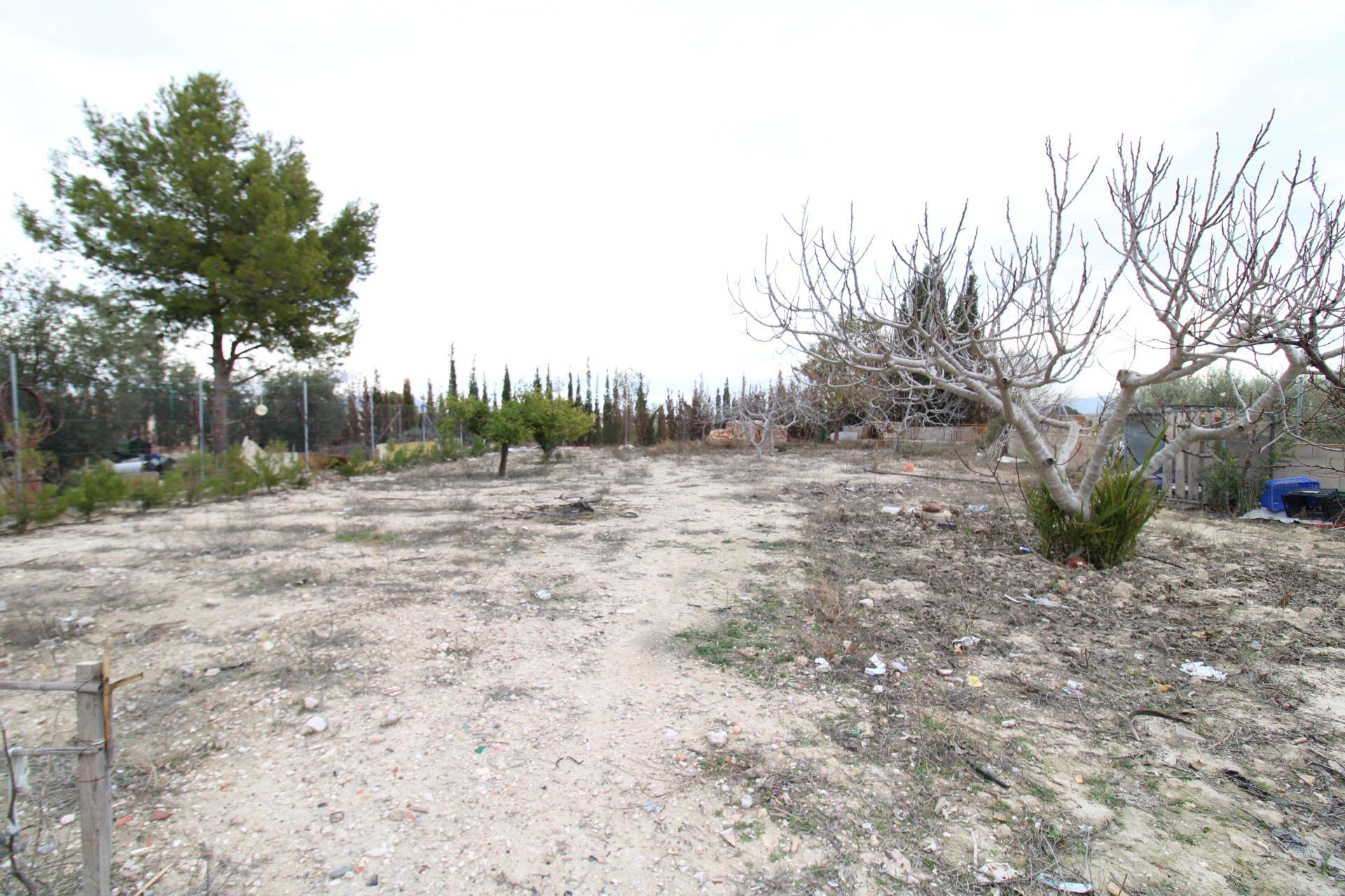 Casas o chalets-Venta-Fortuna-2043492-Foto-56