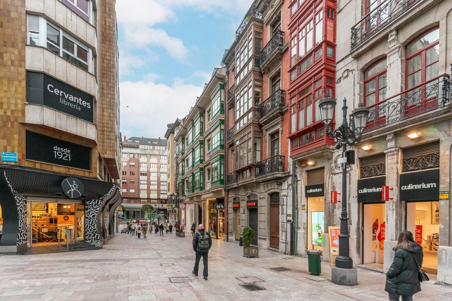 Pisos-Venta-Oviedo-2088207-Foto-53