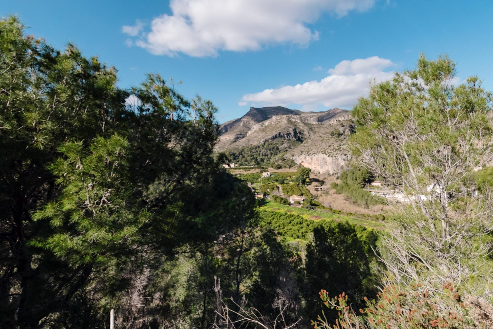 Casas o chalets-Venta-RÃ³tova-2088174-Foto-67