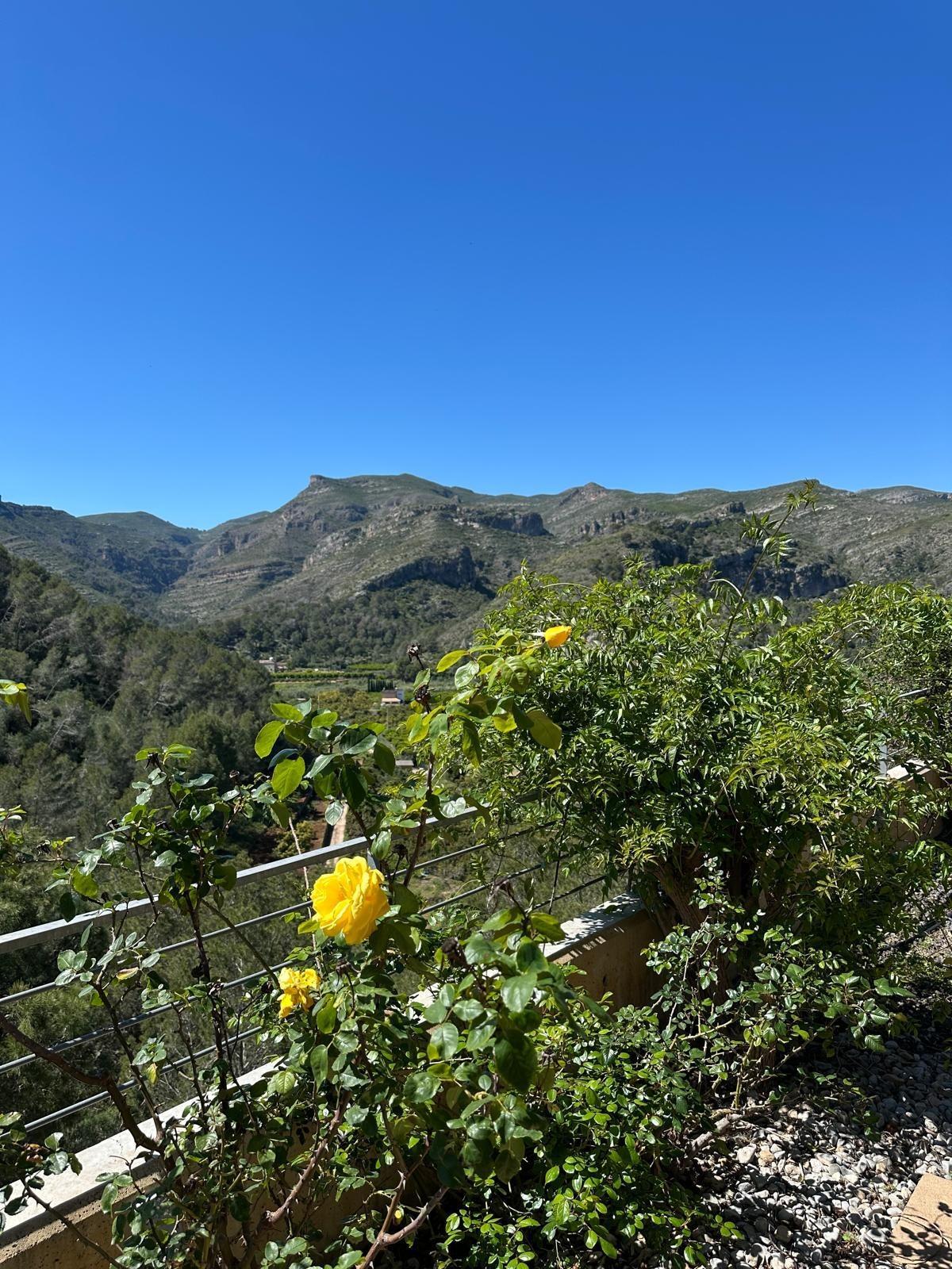 Casas o chalets-Venta-RÃ³tova-2088174-Foto-74