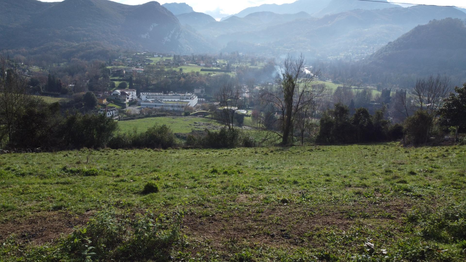 Fincas y solares-Venta-Oviedo-2015665-Foto-35