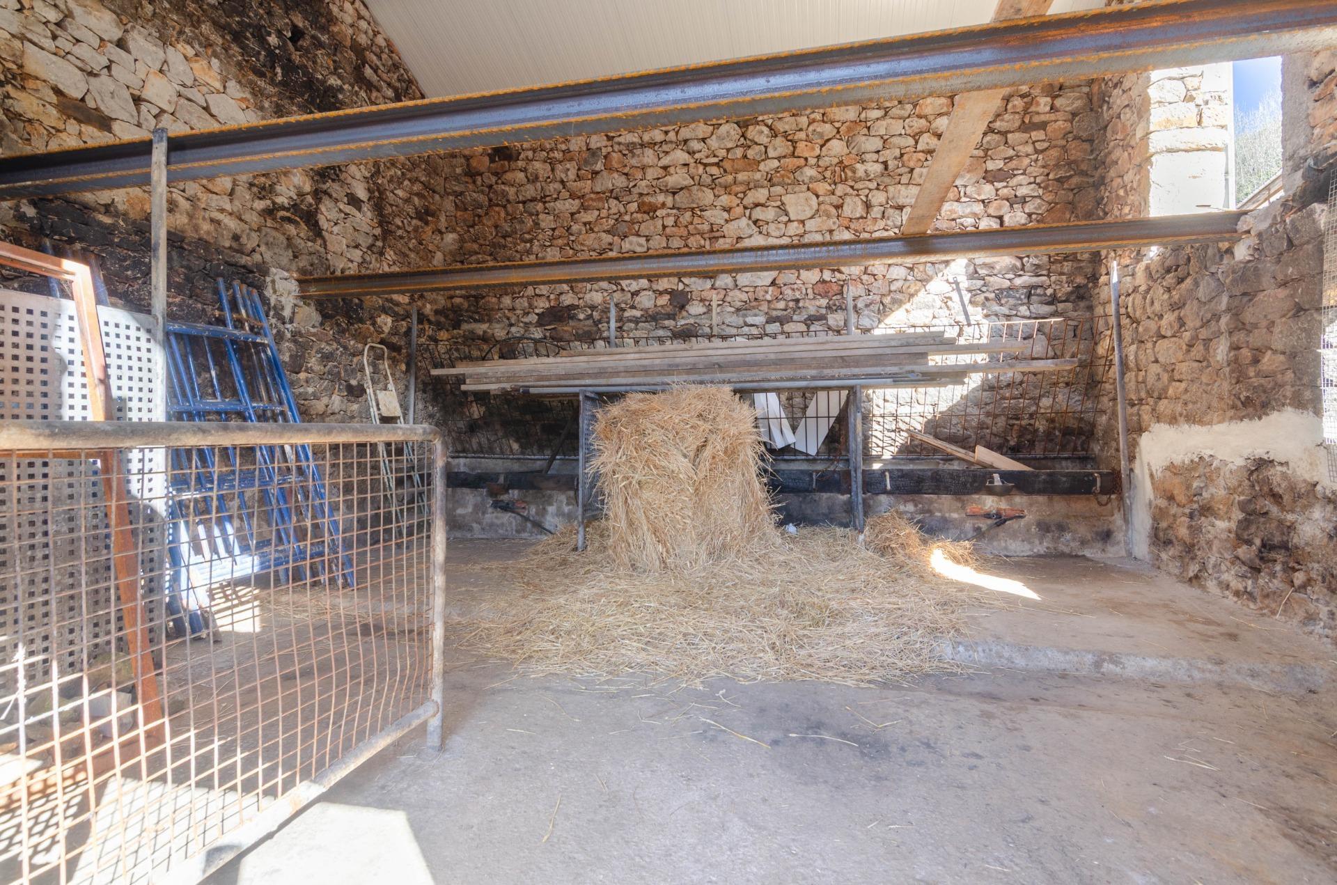 Pisos-Venta-Oviedo-1654599-Foto-34