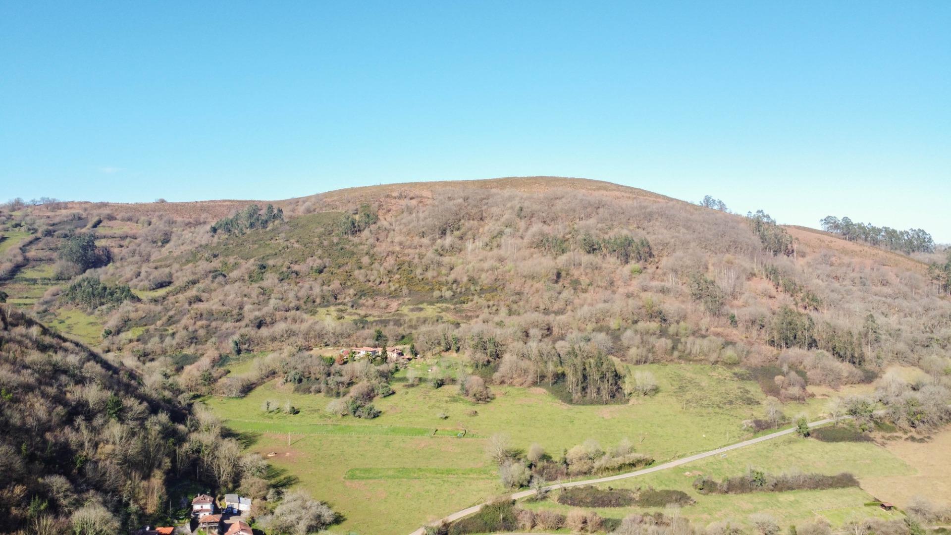 Pisos-Venta-Oviedo-1654599-Foto-39