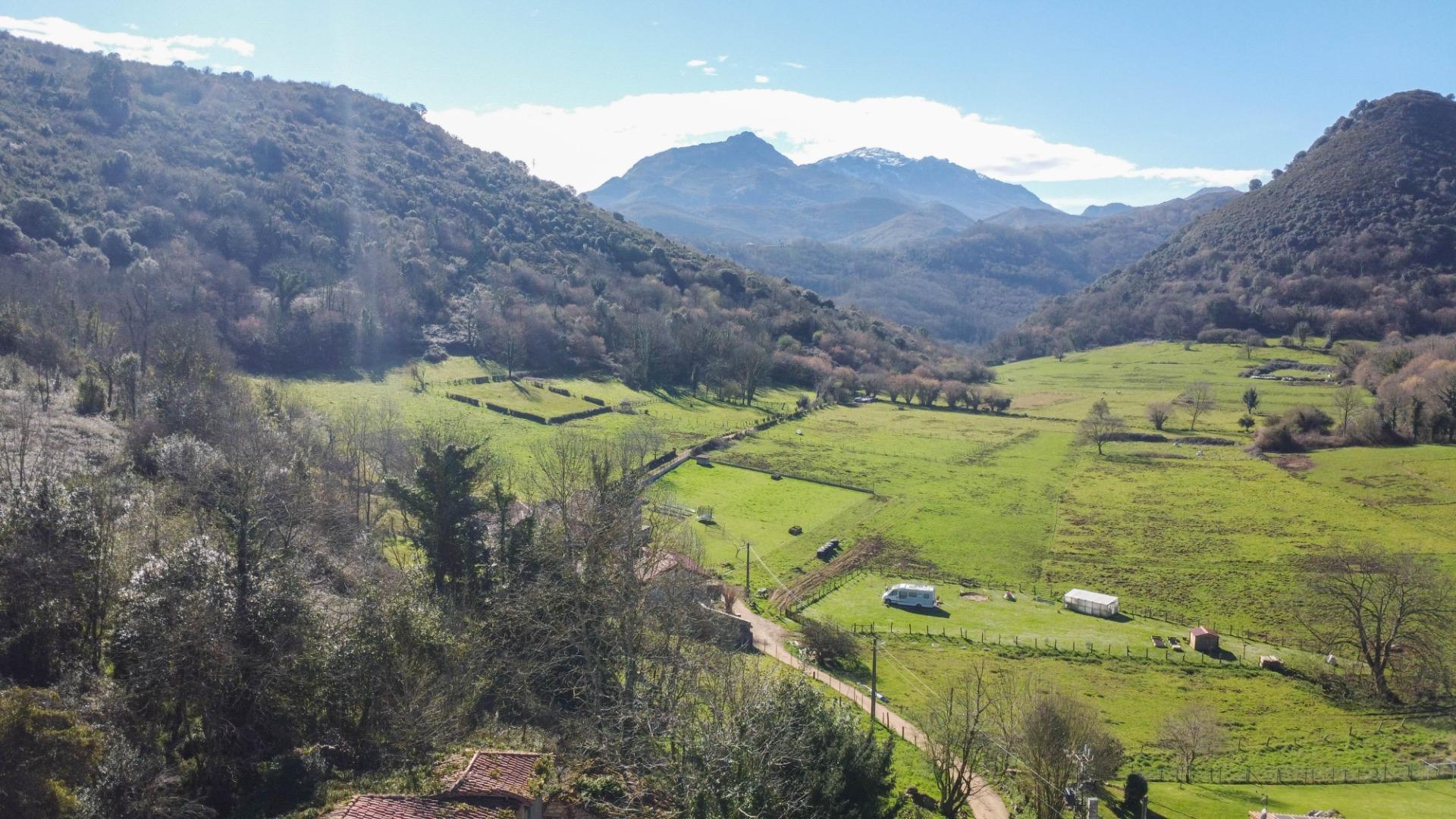 Pisos-Venta-Oviedo-1654599-Foto-41