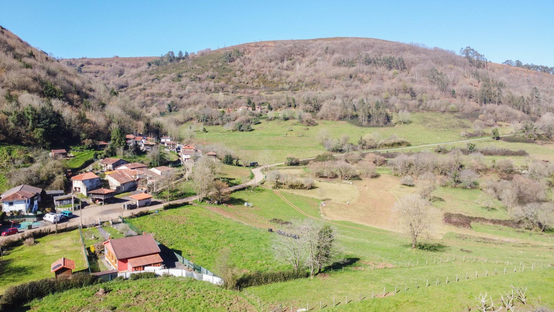 Pisos-Venta-Oviedo-1654599-Foto-43