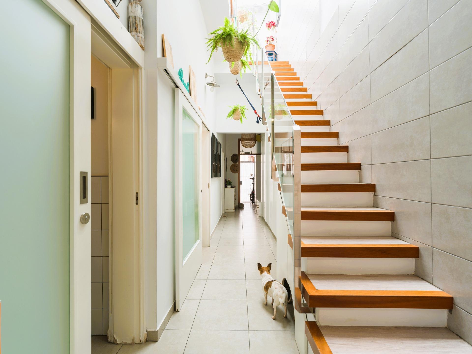 Casas o chalets-Venta-Las Palmas de Gran Canaria-2009455-Foto-22