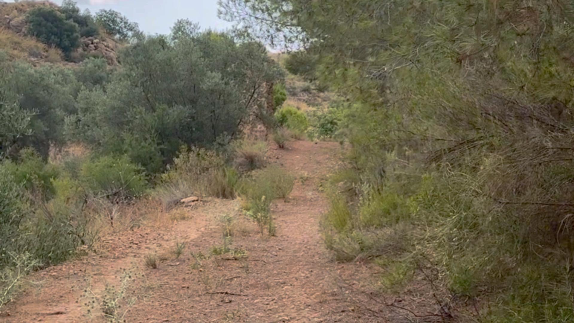 Fincas y solares-Venta-Lorca-1884319-Foto-41