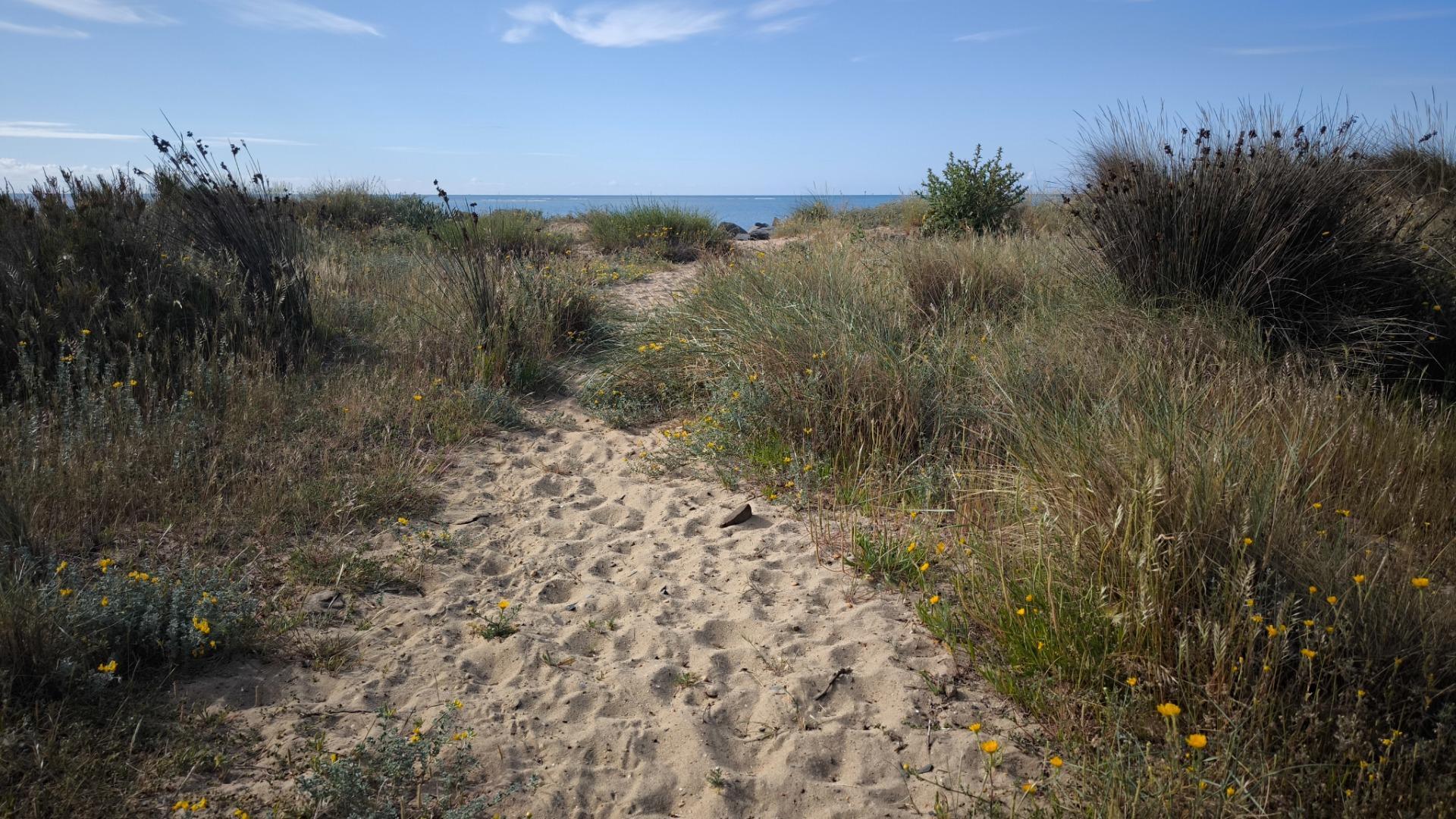 Pisos-Venta-Ayamonte-2089315-Foto-43