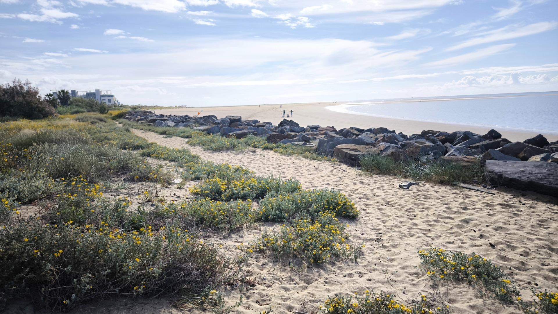 Pisos-Venta-Ayamonte-2089315-Foto-46