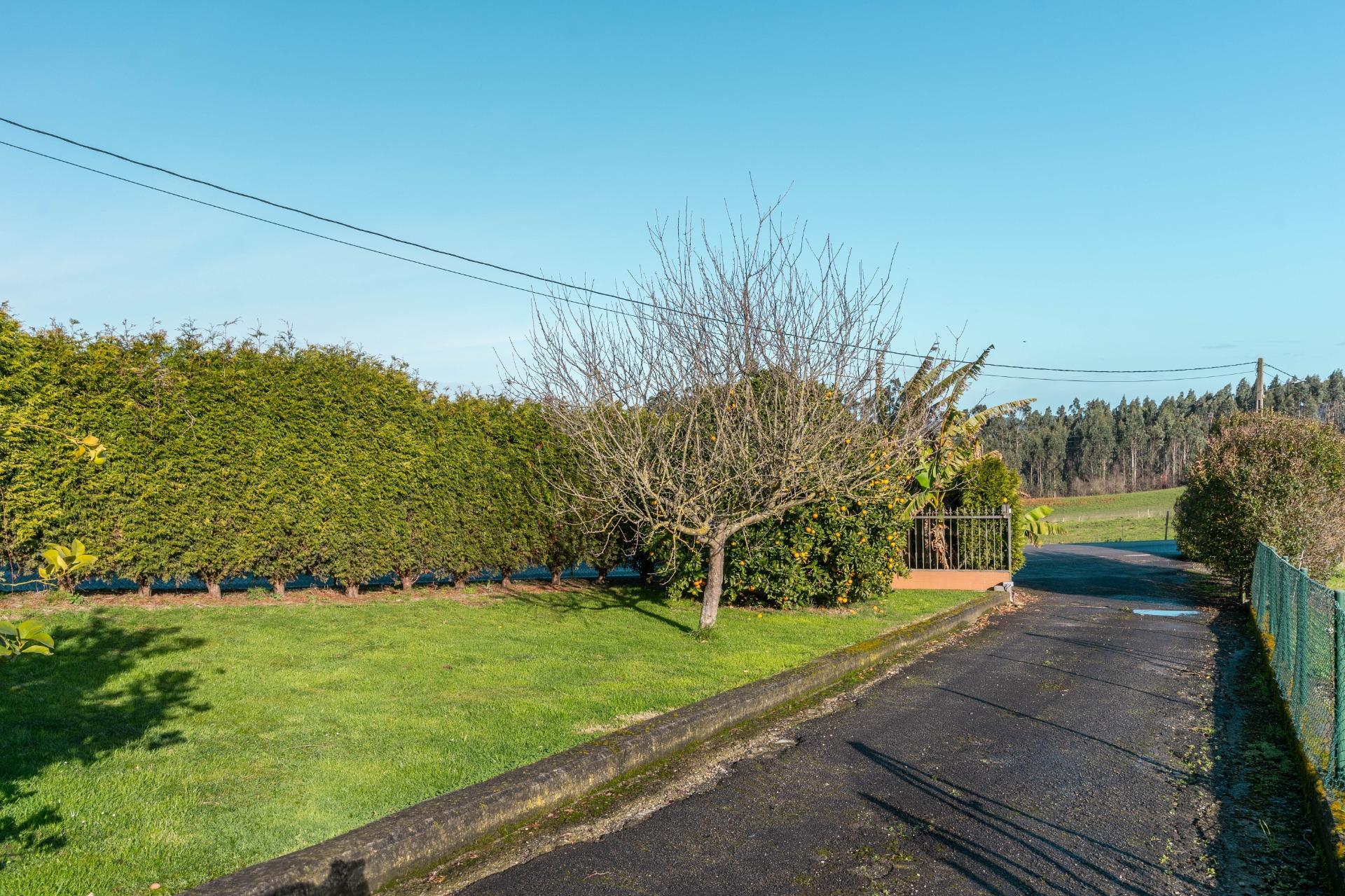 Casas o chalets-Venta-CarreÃ±o-2064107-Foto-10