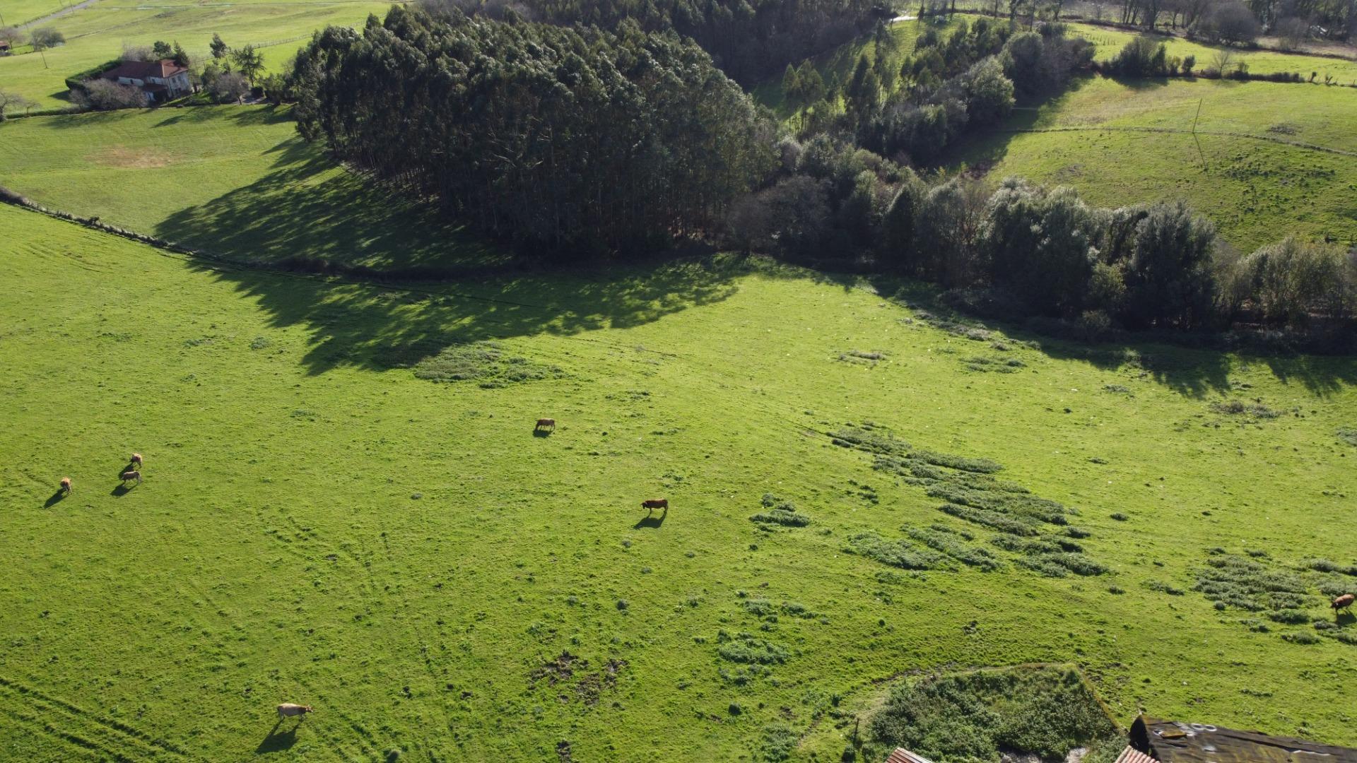 Casas o chalets-Venta-CarreÃ±o-2064107-Foto-58