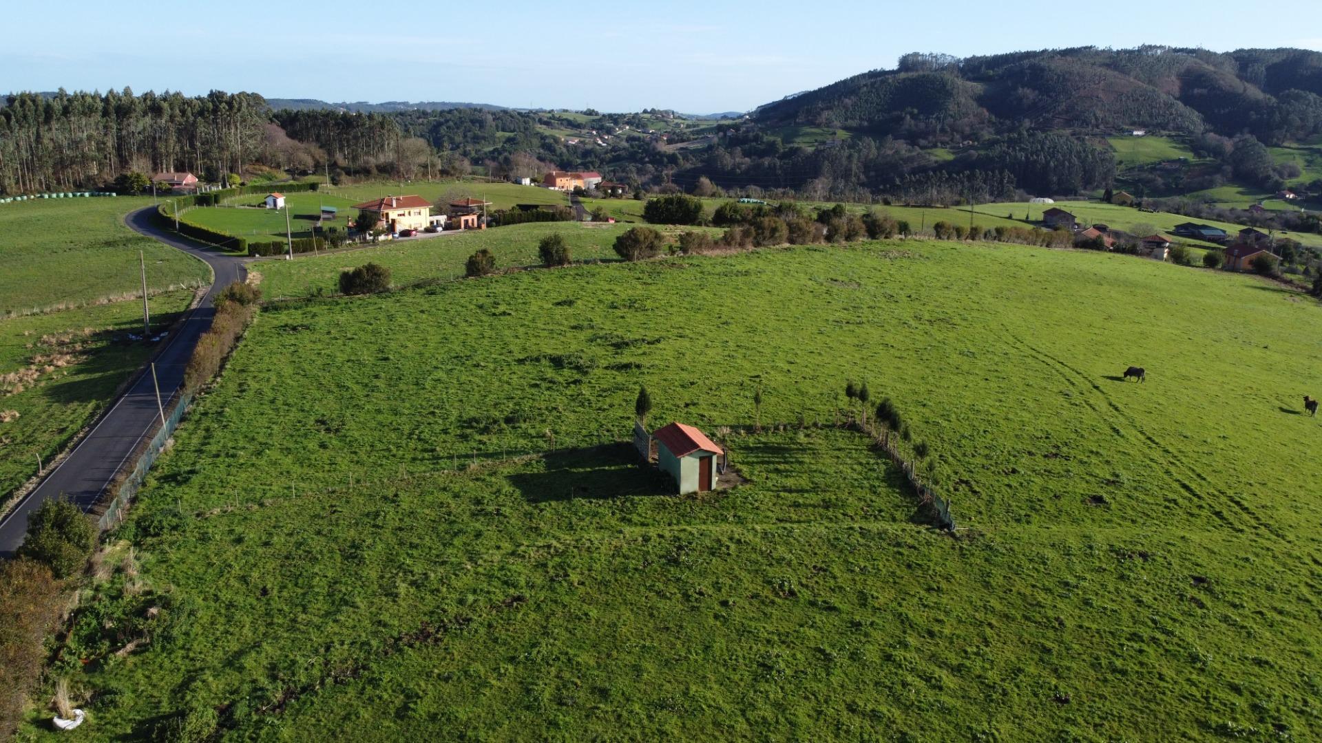 Casas o chalets-Venta-CarreÃ±o-2064107-Foto-59