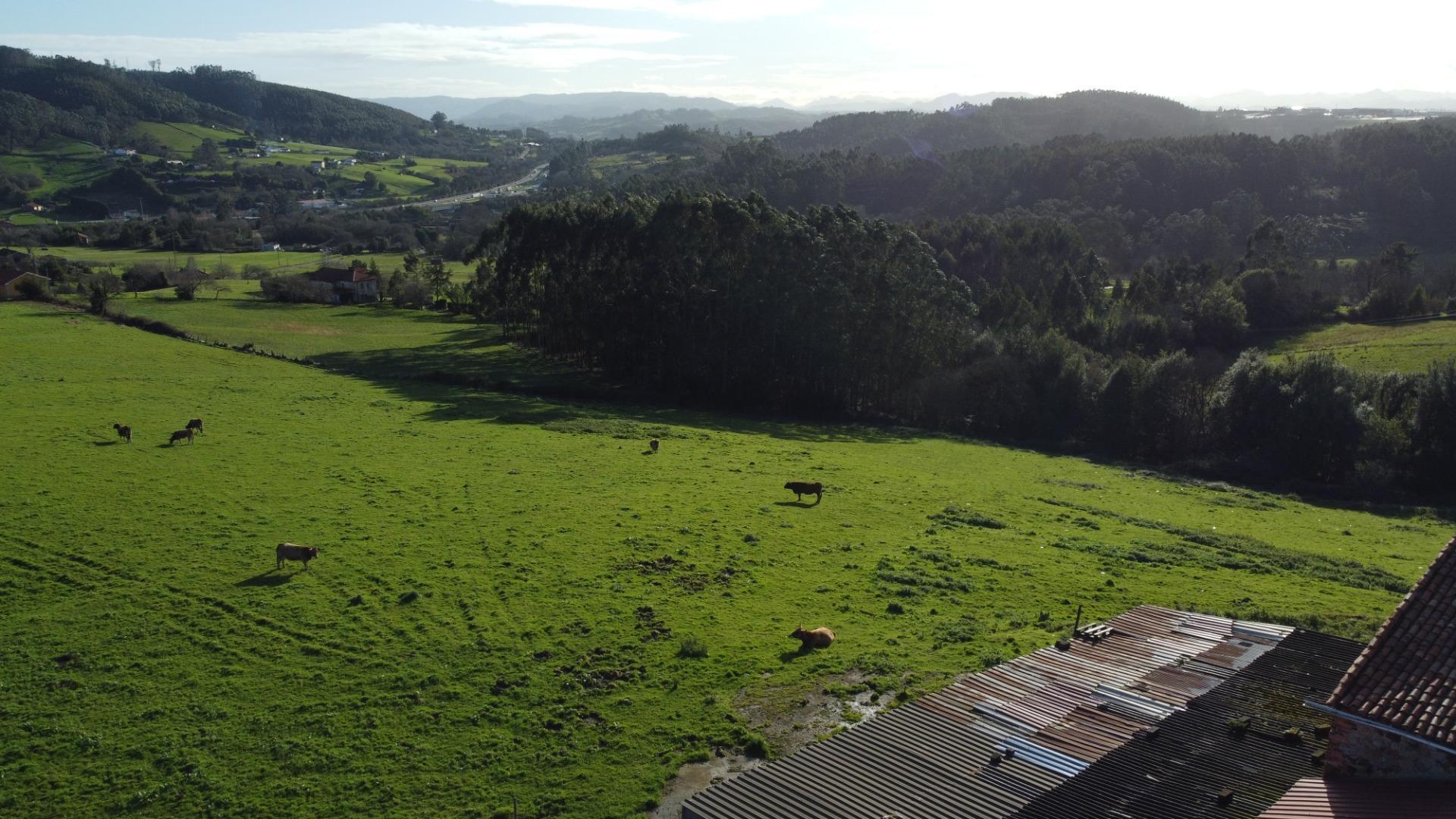 Casas o chalets-Venta-CarreÃ±o-2064107-Foto-60