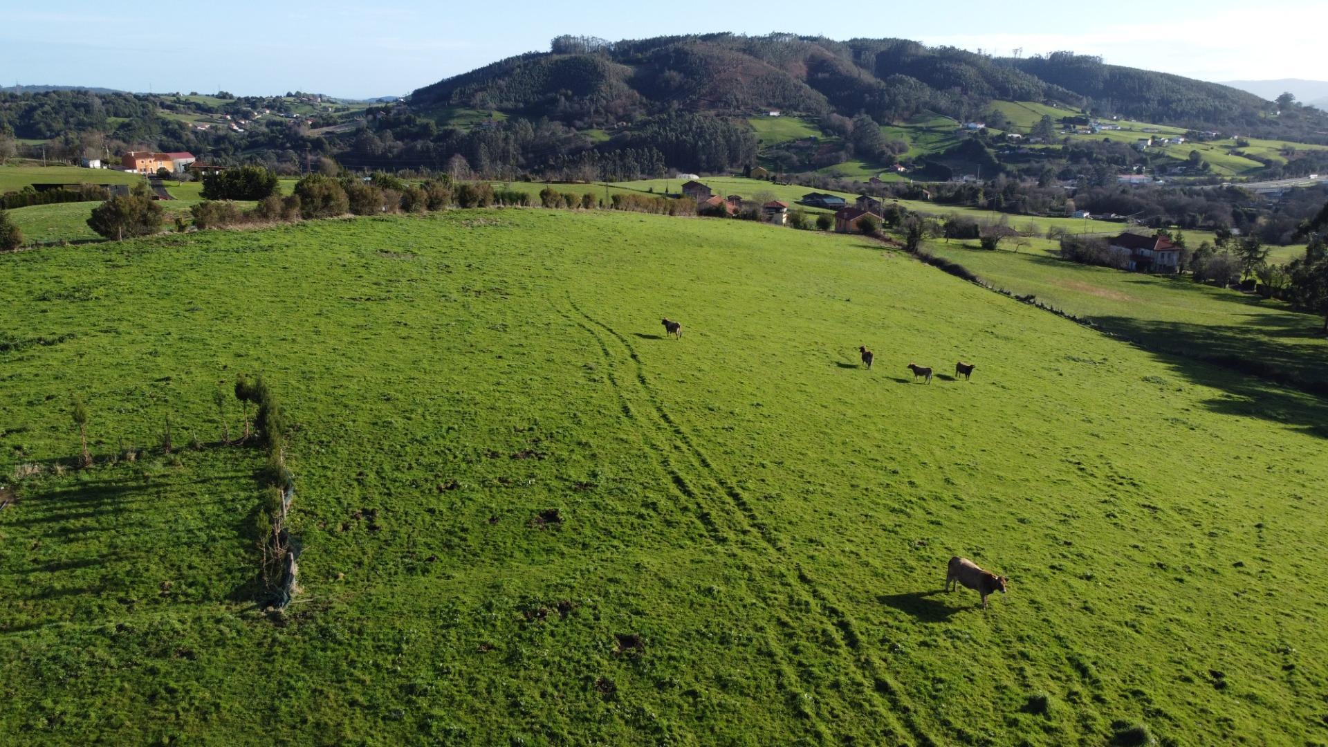 Casas o chalets-Venta-CarreÃ±o-2064107-Foto-65